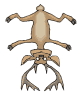 +animal+moose+ clipart