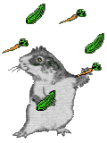 +animal+mouse+rodent+juggling+ clipart