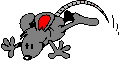 +animal+rat+ clipart