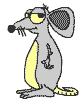 +animal+rat+ clipart