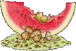 +animal+rats+watermelon+full+eating+ clipart
