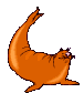 +animal+sea+lion+ clipart