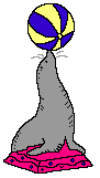+animal+sea+lion+ball+ clipart