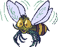 +bee+flying+insect+bug+honey+bee++ clipart