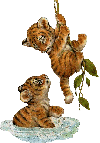 +cat+animal+ clipart