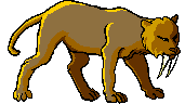 +cat+animal+s+ clipart