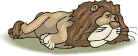 +cat+animal+lion+s+ clipart