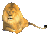 +cat+animal+lion+s+ clipart