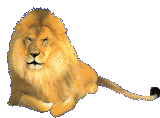 +cat+animal+lion+s+ clipart