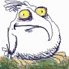 +bird+animal+ clipart