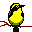 +bird+animal+ clipart