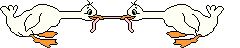 +bird+animal+ clipart