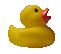 +bird+animal+ clipart