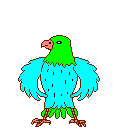 +bird+animal+ clipart