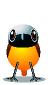 +bird+animal+ clipart