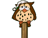 +bird+animal+ clipart