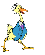 +bird+animal+ clipart