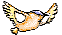 +bird+animal+ clipart