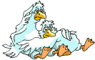 +bird+animal+ clipart
