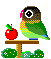+bird+animal+ clipart