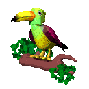 +bird+animal+ clipart