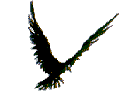+bird+animal+ clipart