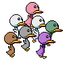 +bird+animal+ clipart