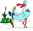 +bird+animal+ clipart