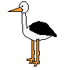 +bird+animal+ clipart