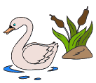 +bird+animal+ clipart