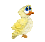 +bird+animal+ clipart
