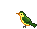 +bird+animal+ clipart