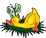 +bird+animal+ clipart