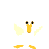 +bird+animal+ clipart