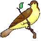 +bird+animal+ clipart