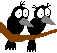 +bird+animal+ clipart