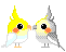 +bird+animal+ clipart