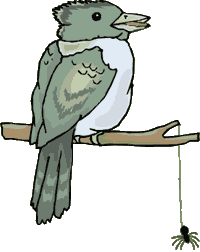 +bird+animal+ clipart