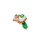 +bird+animal+ clipart