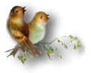 +bird+animal+ clipart
