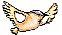 +bird+animal+ clipart
