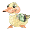 +bird+animal+ clipart