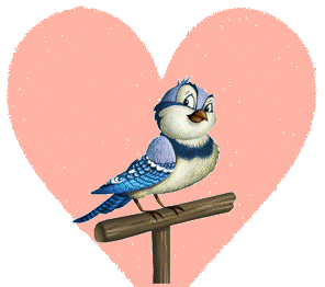 +bird+animal+ clipart