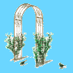 +bird+animal+ clipart