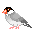 +bird+animal+ clipart