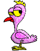 +bird+animal+ clipart
