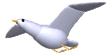 +bird+animal+ clipart