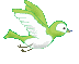 +bird+animal+ clipart