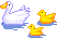 +bird+animal+ clipart