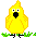 +bird+animal+ clipart